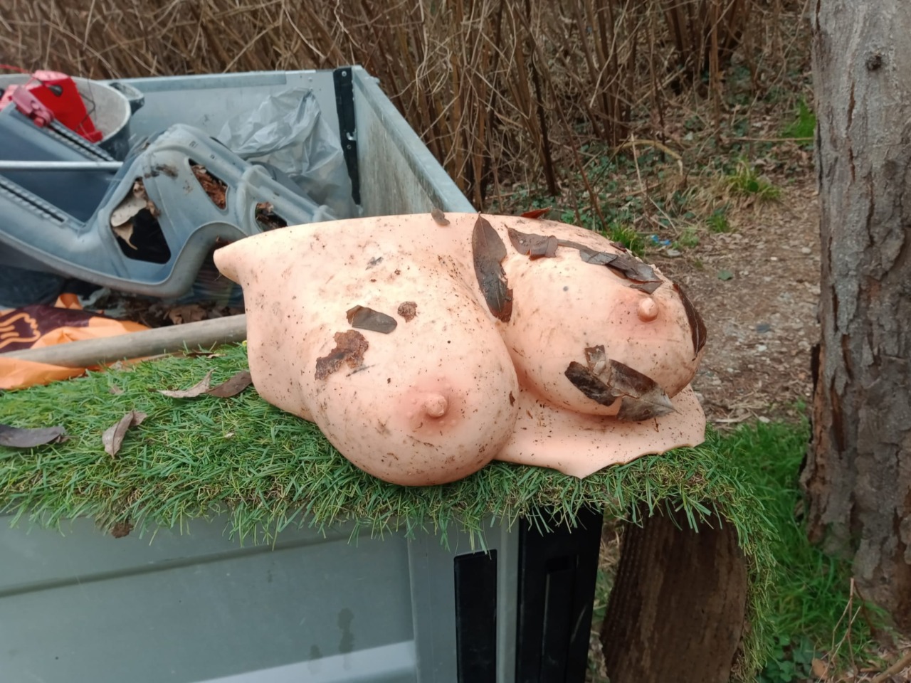 Rifiuti particolari nel percorso della Brughiera: busti in silicone lasciati in abbandono