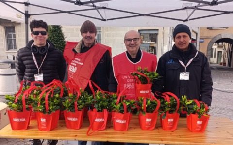 Volontari in piazza con gardenie per la ricerca sulla sclerosi multipla