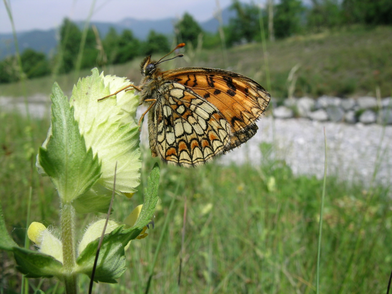 Agrinatura 2026: Il Parco Valle del Lambro e la sua biodiversità