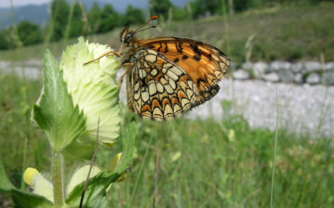 Agrinatura 2026: Il Parco Valle del Lambro e la sua biodiversità