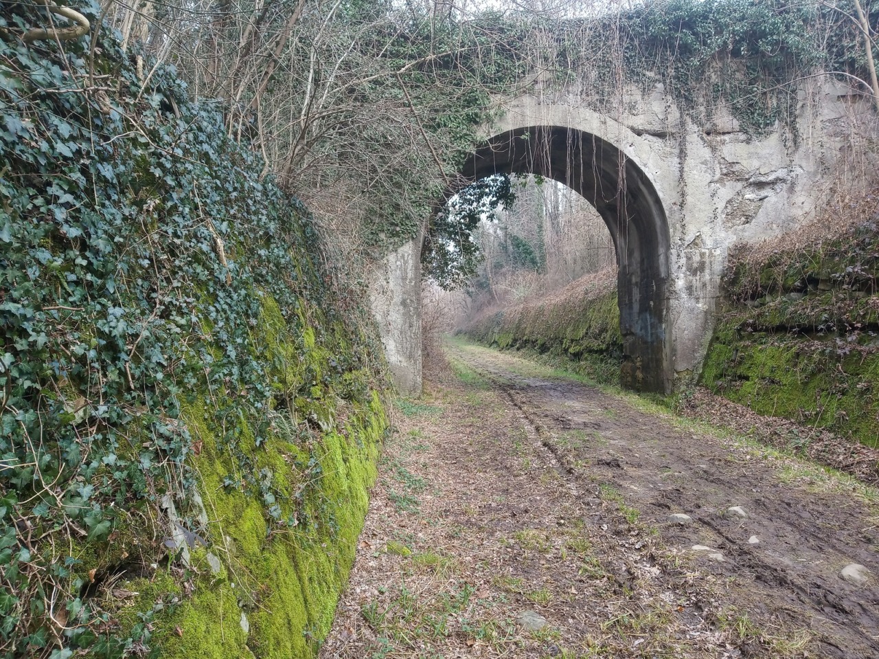 Scopri il Parco con Dentro il Parco