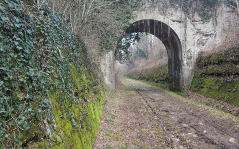 Scopri il Parco con Dentro il Parco